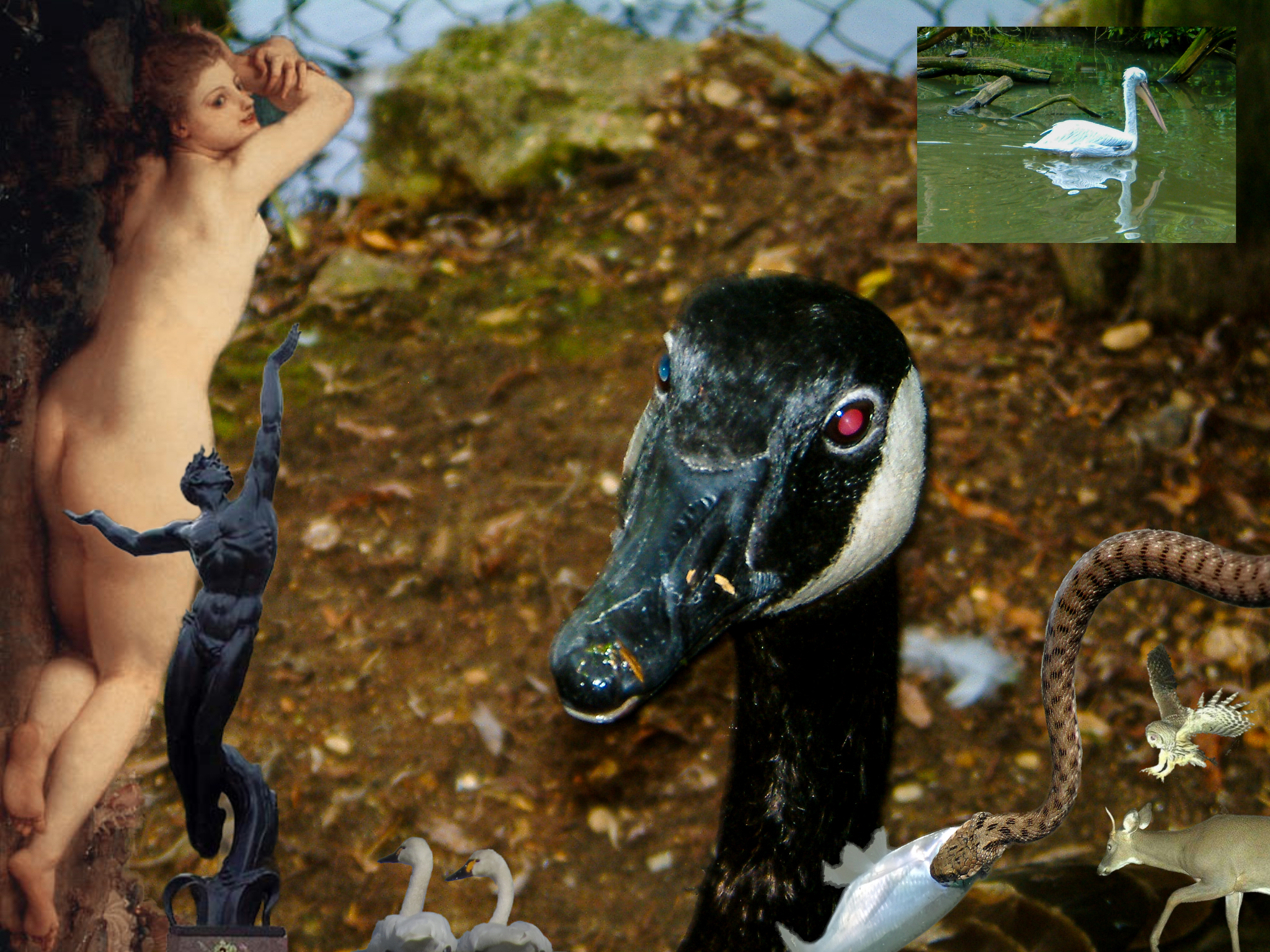 esoteric nature collage