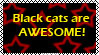 blackcats2