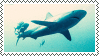 stampsswimmingshark